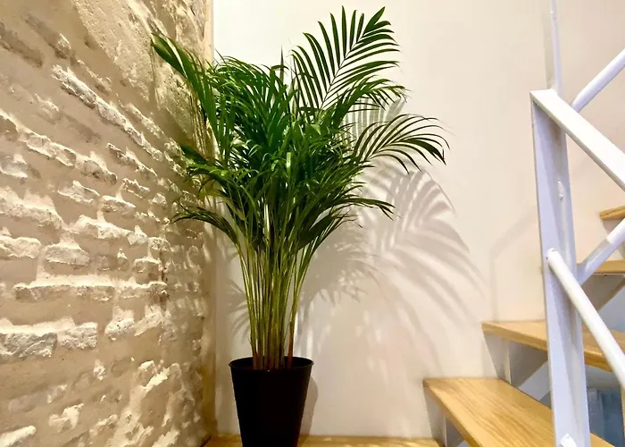 Apartment Loft Jerez Centro *