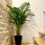 Apartamento Loft Jerez Centro *